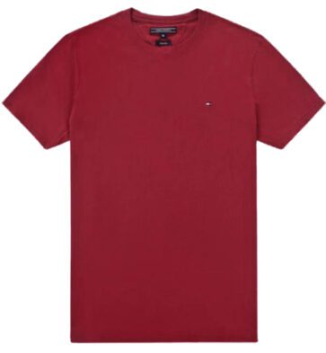 טומי הילפיגר-TOMMY TSHIRT MEN'S - Mandarian ORG
