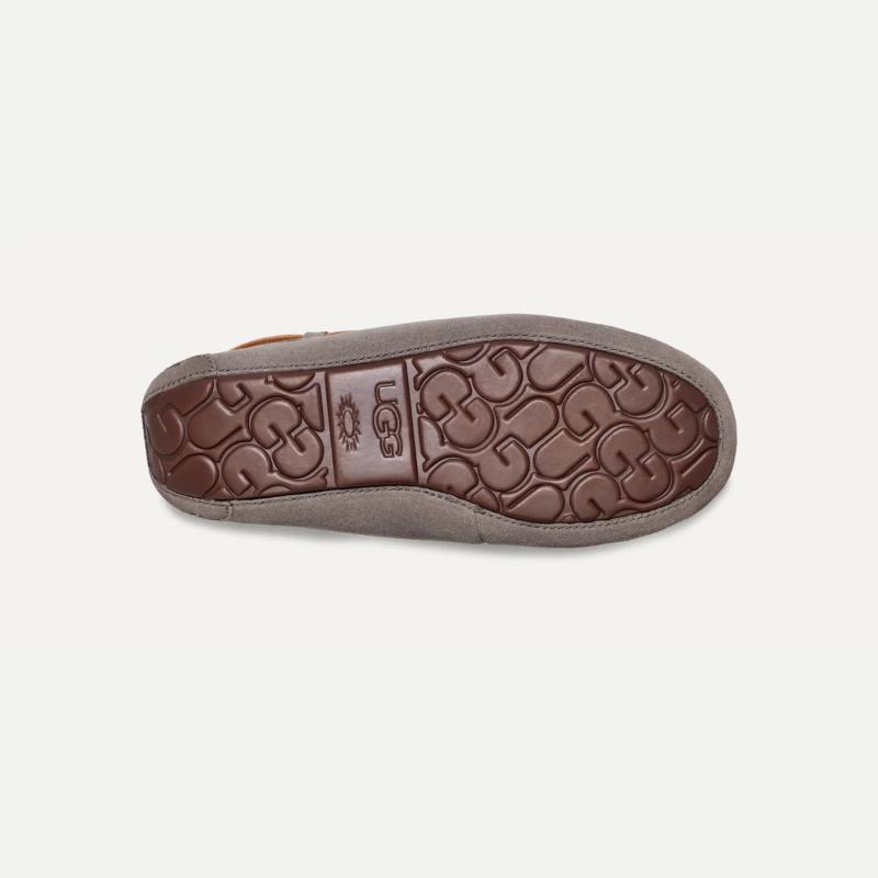 UGG Dakota נעלי האג דקוטה – תמונה 23